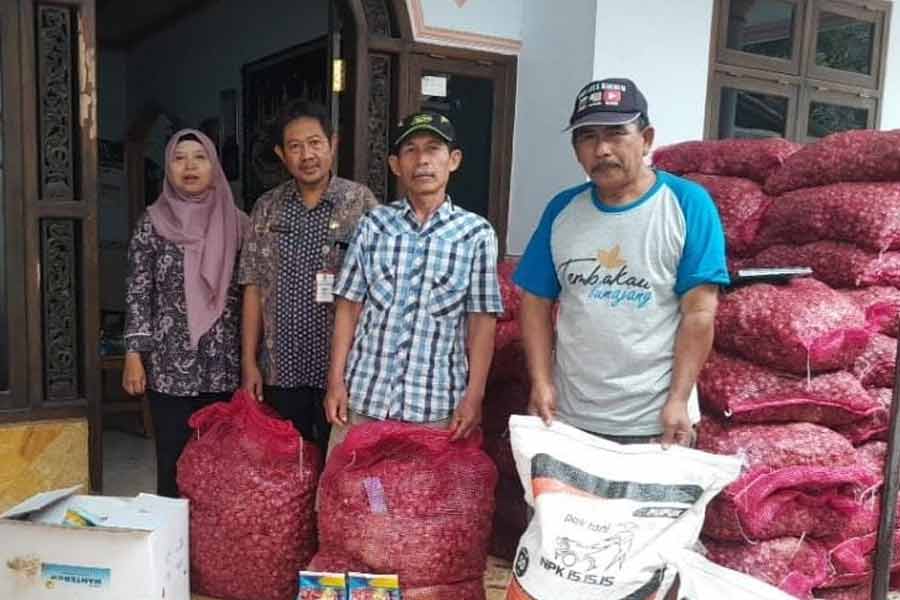 Penanaman ribuan bibit bawang merah tersebut merupakan bantuan dari Dana Bagi Hasil Cukai Hasil Tembakau (foto: Dok Infopublik)